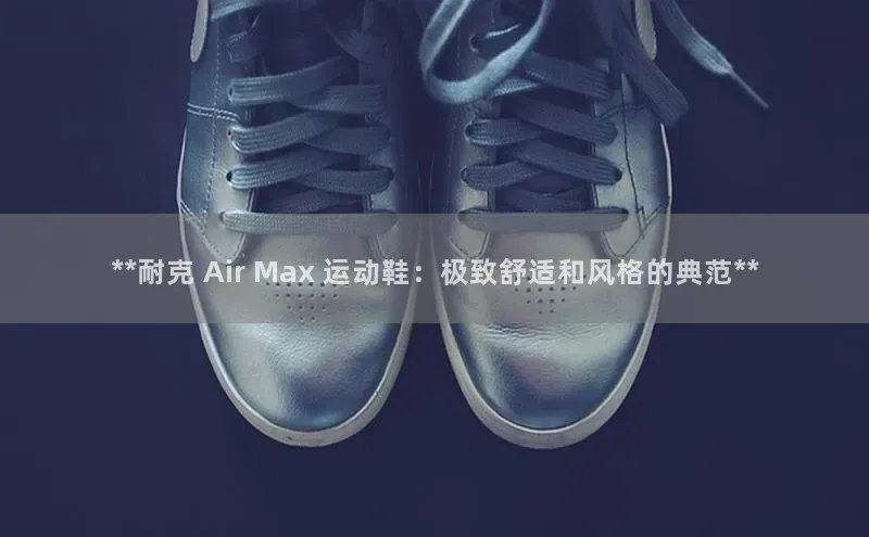 333体育平台网页版普信公司**耐克 Air Max 运动鞋：极致舒适和风格的典范**